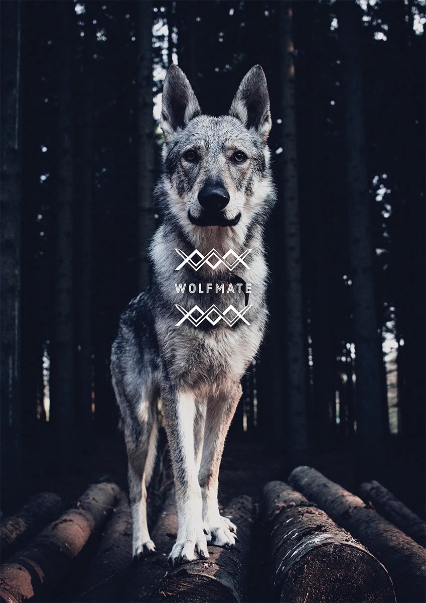Wolfmate — plakáty